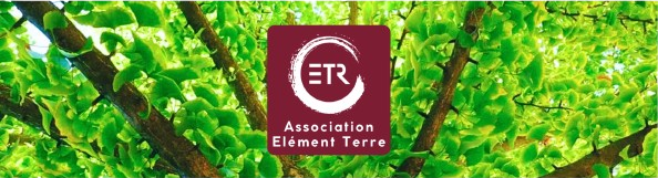 Fond vert et logo ETR bordeaux